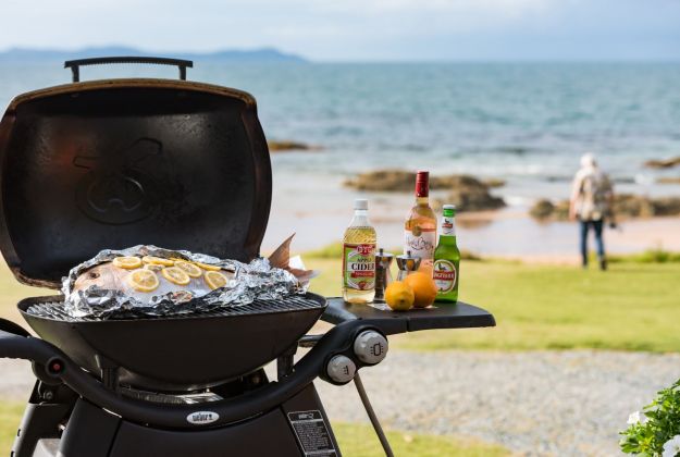 Putting your fish on the Golden Sand BBQ